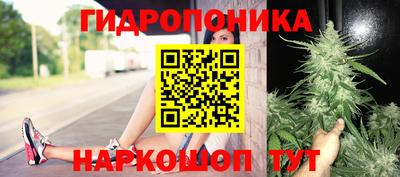 трава Чебоксары