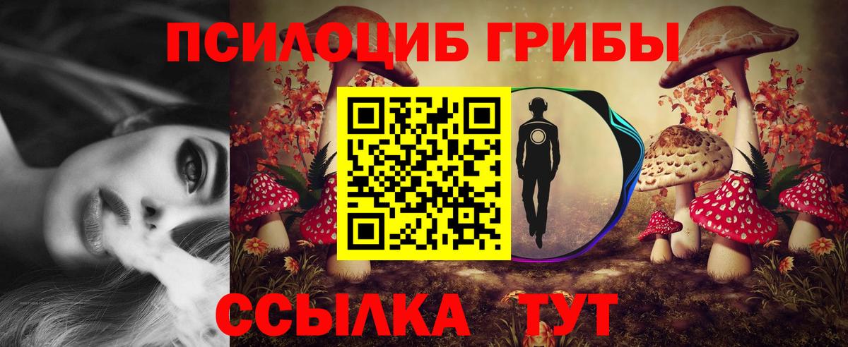 Псилоцибиновые грибы прущие грибы Белореченск
